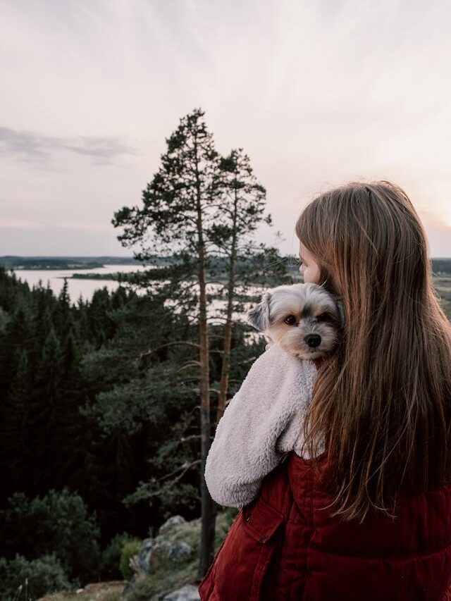 8 Adorable Older Doggos To Give Some Puppy Love To On Senior Saturday